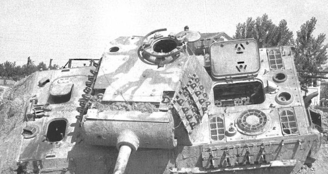 Пантера с ДБ.jpg